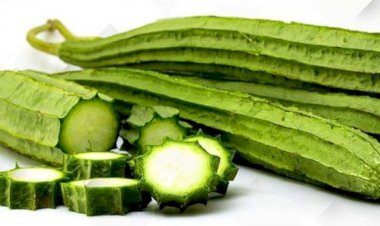 চোখ লিভার ও কিডনিকে ভালো রাখে ঝিঙা