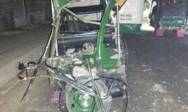 চালককে গাছের সঙ্গে বেঁধে অটোরিকশা নিয়ে পালাল দুর্বৃত্তরা