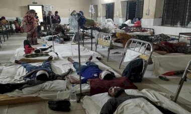 মাধবপুরে ট্রাক ও বাসের মুখোমুখি সংঘর্ষে নারীসহ আহত ১৯