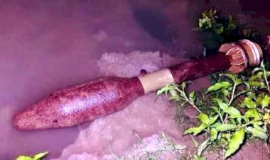 জাফলংয়ে আবারও মর্টারসেল উদ্ধার, এলাকায় আতংক