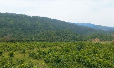 ভারত থেকে কয়লা আনতে গিয়ে পাথরচাপায় দুই শ্রমিকের মৃত্যু