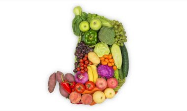 খাদ্যনালির অন্ত্রের ক্ষতি করে যেসব খাবার