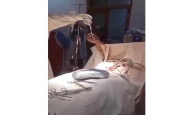 জেলের পায়ুপথে ঢুকলো মাছ, ওসমানীতে অস্ত্রোপচারে জ্যান্ত উদ্ধার!