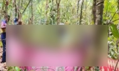 জঙ্গলের ভিতর গাছের সঙ্গে বাঁধা কিশোরীর লাশ