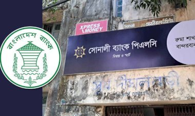 একের পর এক শাখায় ‘লুট’, ব্যাংকের নিরাপত্তা নিয়ে প্রশ্ন