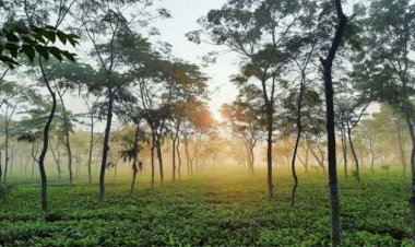 ঈদের ছুটিতে পর্যটকদের স্বাগত জানাতে প্রস্তুত পর্যটন স্পট
