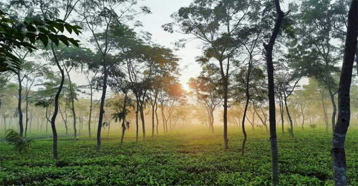 ঈদের ছুটিতে পর্যটকদের স্বাগত জানাতে প্রস্তুত পর্যটন স্পট