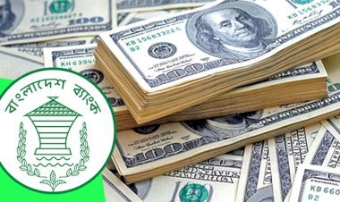 সিলেটে টাকা নিয়ে লাপাত্তা বাংলাদেশ ব্যাংকের কর্মচারী