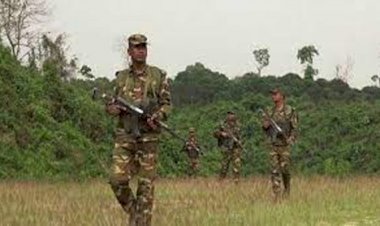 সেনাবাহিনীর সঙ্গে বন্দুকযুদ্ধে কেএনএফের ৩ সদস্য নিহত