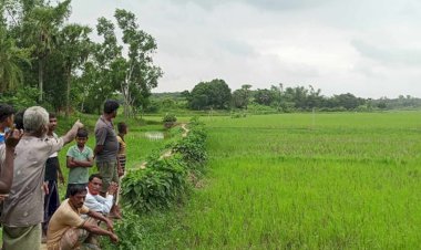 কুমিল্লা সীমান্তে বিএসএফের গুলিতে বাংলাদেশি যুবক নিহত