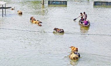 সিলেট ও সুনামগঞ্জে পানি নামছে ধীরগতিতে, ভেসে উঠছে বন্যার ক্ষত