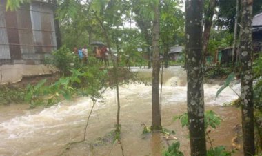 মৌলভীবাজারে কুশিয়ারার বাঁধ ভেঙে লোকালয় প্লাবিত
