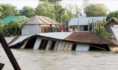 বন্যায় নি হ তে র সংখ্যা বেড়ে ৩১