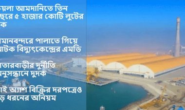 মাতারবাড়ী বিদ্যুৎকেন্দ্র ঘিরে হরিলুট