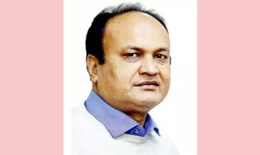 প্রতি বছর ব্যাংক থেকে টাকা সরান পরিচালক ছানোয়ার
