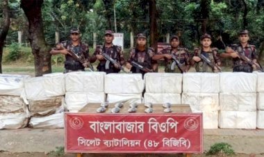 সুনামগঞ্জ সীমান্তে ২২ লাখ টাকার ইলিশ জব্দ করল বিজিবি