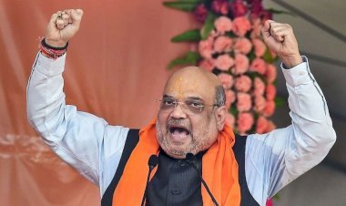 বাংলাদেশিদের উলটো করে ঝুলিয়ে রাখার হুমকি অমিত শাহর