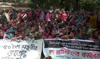 কর্মবিরতিতে সিলেটের চা শ্রমিকরা