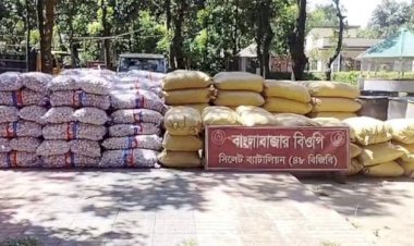 সুনামগঞ্জ সীমান্তে দুই কোটি ৫৭ লাখ টাকার অবৈধ পণ্য জব্দ