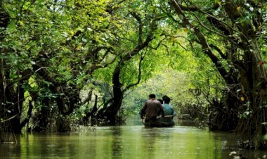 পর্যটক হারাচ্ছে সিলেটের রাতারগুল