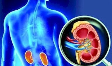 ঢাকা-দিল্লির মধ্যে উদ্বেগজনকভাবে বাড়ছে কিডনি সিন্ডিকেট দৌরাত্ম্য