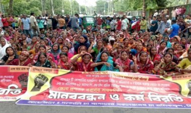 শ্রমিকদের বিক্ষোভে সিলেটে ১২ বাগানে চা উৎপাদন বন্ধ