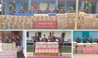 সিলেটে বিজিবির অভিযানে ১ কোটি ৬৫ লাখ টাকার চোরাই পণ্য আটক