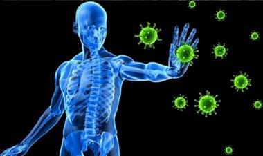 শীতে রোগপ্রতিরোধ ক্ষমতা বাড়ায় যেসব ফল