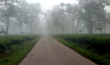 হাড়কাঁপানো শীত, দেশের সর্বনিম্ন তাপমাত্রা শ্রীমঙ্গলে