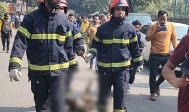 সচিবালয়ের ৮ তলায় মিলল কুকুরের দগ্ধ মরদেহ, চাঞ্চল্যের সৃষ্টি