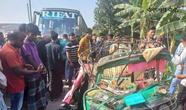 এক কুকুর বাঁচাতে গিয়ে প্রাণ হারাল ৬ জন