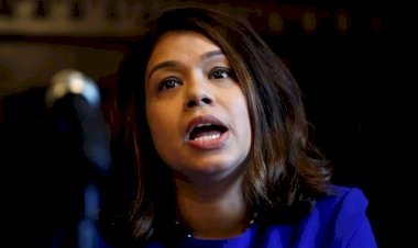 টিউলিপ যেভাবে নিজের বিপদ নিজেই ডেকে আনলেন