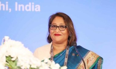 বিশ্ব স্বাস্থ্য সংস্থা থেকে পুতুলকে সরাতে দুদকের চিঠি