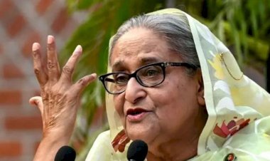 হাসিনা হাইব্রিডদের দলে টানতেন, তাই আ.লীগের এ দুরবস্থা: সাবেক ছাত্রলীগ নেতা
