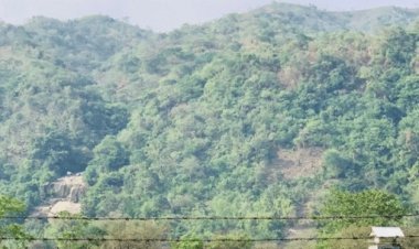 সীমান্তে খাসিয়াদের গুলিতে দুই বাংলাদেশী আহত