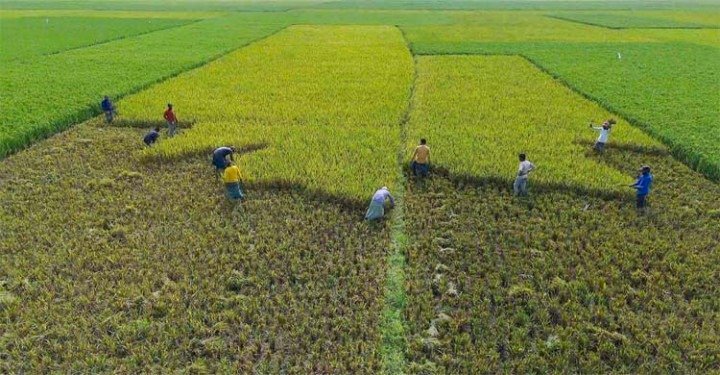 সিলেটে অকাল বন্যার শঙ্কা, হাওরবাসীর চোখে ভয়