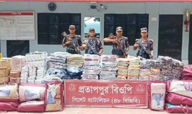 সিলেটে ১ কোটি ৪২ লাখ টাকার চোরাই পণ্য জব্দ বিজিবি