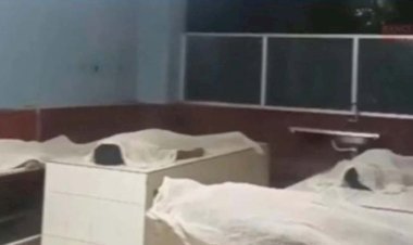 শ্রীমঙ্গল চা বাগানে ৪ তরুণের মর্মান্তিক মৃ ত্যু