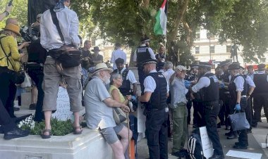 যুক্তরাজ্যে ফিলিস্তিনপন্থি আন্দোলনে ধরপাকড়, ৭০ জন আটক