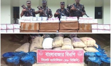 সিলেটে সীমান্তে প্রায় আড়াই কোটি টাকার চোরাই পণ্য জব্দ