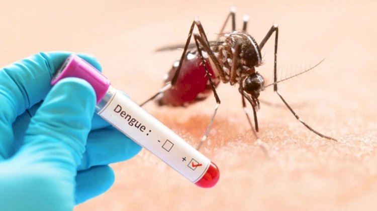 ডেঙ্গুতে একদিনে মৃত্যু ৩, হাসপাতালে ভর্তি ৩৩১