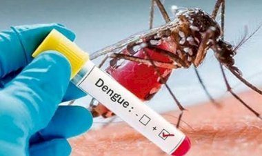 ২৪ ঘণ্টায় ডেঙ্গুতে ৩ জনের মৃত্যু
