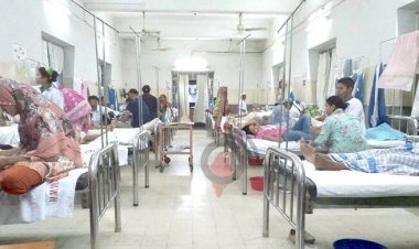 ডেঙ্গুতে একদিনে ৪ জনের মৃত্যু