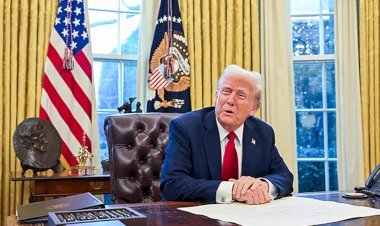 গাজা নিয়ে ট্রাম্পের ২০ দফায় কী আছে, কেন তুমুল আলোচনা