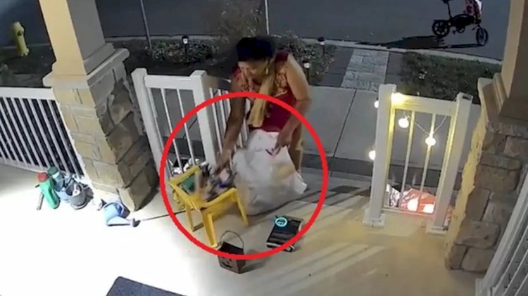 কানাডায় প্রতিবেশীর হ্যালোইন ক্যান্ডি চুরি করে ভাইরাল ভারতীয় নারী