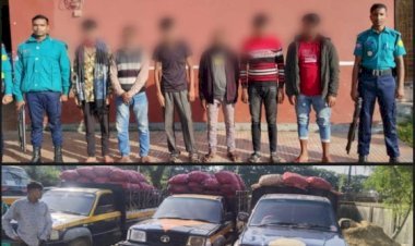 সিলেটে ১০ লাখ টাকার অবৈধ ভারতীয় পেঁয়াজ জব্দ, আটক ৬