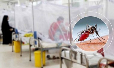 ডেঙ্গুতে আরো ৮ জনের মৃত্যু, হাসপাতালে ৭৭৮