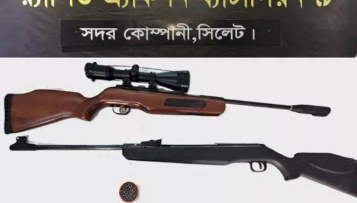 সিলেটে ঝোপঝাড় থেকে গুলিসহ দুটি বিদেশি অস্ত্র উদ্ধার