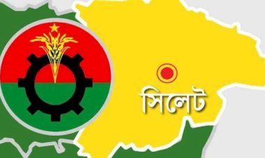 সিলেট বিভাগে ধানের শীষের জয়মুখর দৌরাত্ম্য