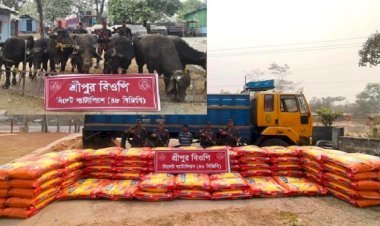 সিলেটে সীমান্তে ১ কোটি ১৭ লাখ টাকার চোরাচালানি মালামাল জব্দ